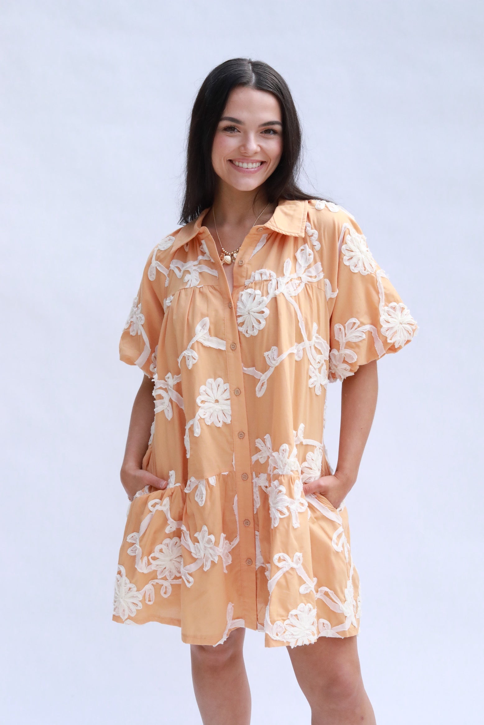 Embroidered Mini Dress